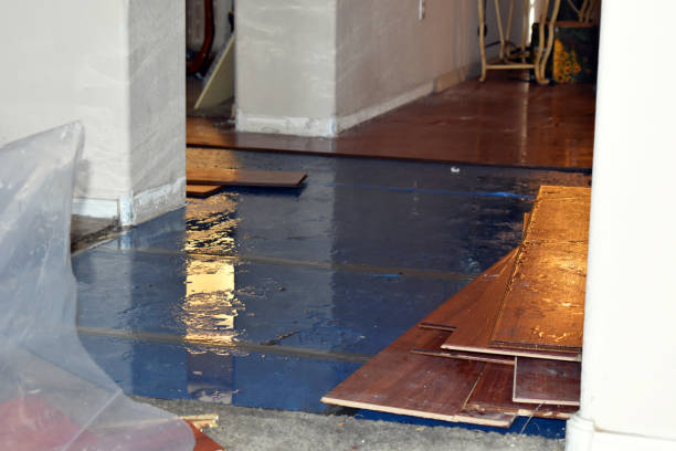 Professional Burst Pipe Cleanup technician working in Mesick, MI