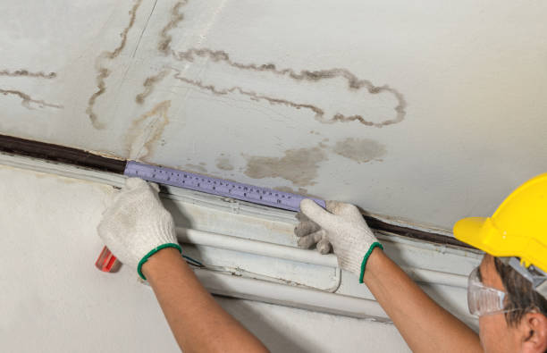 Reliable Burst Pipe Cleanup contractor in Mesick, MI by Water Damage Irwin